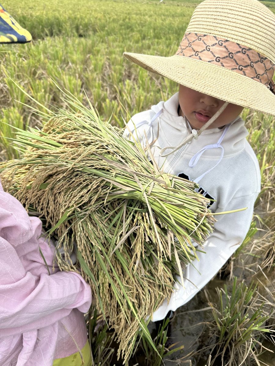 VỤ MÙA CỦA NGƯỜI DÂN TỘC TẠI HOÀ BÌNH 